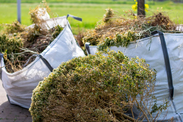 Best Trash Removal Near Me  in Frankfort, IN